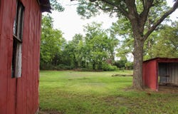 17677 N State Highway 28, Dardanelle, AR 72834