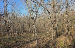 Galvin Place, Edwards, MO 65326