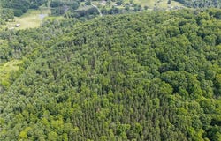 738 Four Mile Road, Allegany, NY 14706