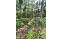 Lot 45 Soose Way, Tafton, PA 18464