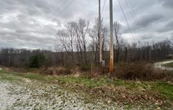 0  Shine Dr, Waverly, TN 37185