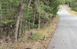 Oak Leaf Circle lot: 93, Garfield, AR 72732