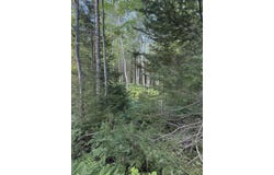 50 acres Herron Road, Alpena, MI 49707