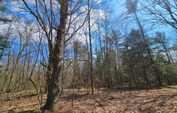 0WP County Road 32, Greene, NY 13778