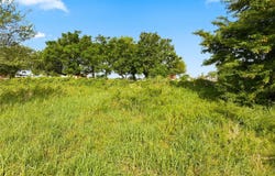 494 Quillian Trace, Waco, TX 76705