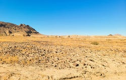 25971E S County Road, Terlingua, TX 79852