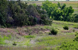 456 D Rd, Palco, KS 67657