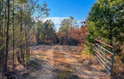 0 Bullman Road, Finger, TN 38334