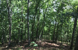 Damascus Road, Ball Ground, GA 30107