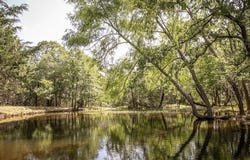 4105 Lomax Harmel Road, Carmine, TX 78932