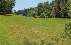 9999 Settlers Trail, Mars Hill, NC 28754