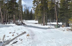 117 MINERS WAY, Fairplay, CO 80440