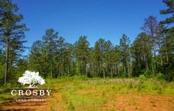 0 CCC Road, Troy, SC 29848