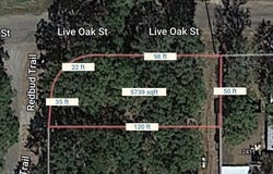 Tbd Live Oak Street, Quinlan, TX 75474