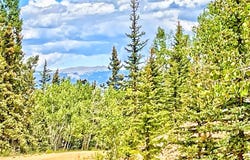 224 APACHE TRAIL, Como, CO 80432