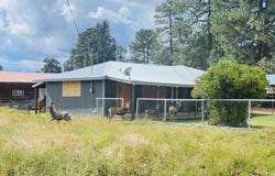 W 7th Street, Chama, NM 87520