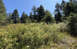 135 SLIPPERY HILL LN, REPUBLIC, WA 99166