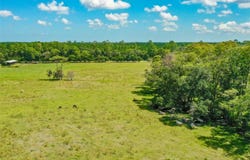 000 CR65, BUNNELL, FL 32110