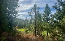 1121 Great Spirit lot: 386, Portola, CA 96122