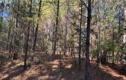 Smith County Road 18-5a, Bay Springs, MS 39422