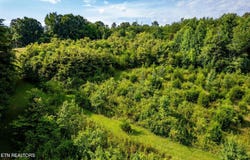 0 Thorn Grove Pike, Strawberry Plains, TN 37871