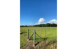 TBD Baudoin Rd, Maurice, LA 70555