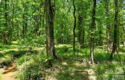 Cool Branch Road, Carlisle, SC 29706