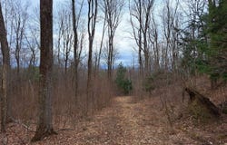 Bald Mountain Road, Greenwich, NY 12834