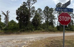 557 NAPLES AVENUE S, LEHIGH ACRES, FL 33974