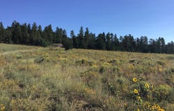 E Elk Drive lot: 14, Ramah, NM 87321