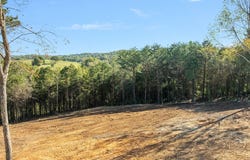 W Hills Drive lot: #3, Mosheim, TN 37818