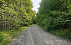 1407 Eminence Road, East Branch, NY 13756