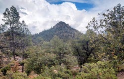 903 S Monument Valley Drive, Payson, AZ 85541