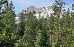 95 Valley Way, Stanley, ID 83278