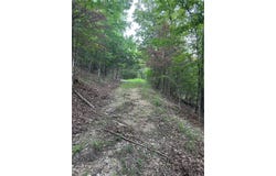 County Road 152 and County Road 1524 lot: T 2, Eureka Springs, AR 72632