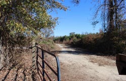Highway 3, Blackville, SC 29817