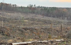 CR 442, PARIS, MS 38949