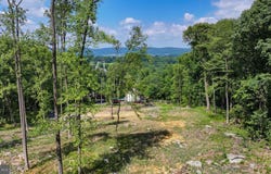 FORD FIELDS ROAD, MYERSVILLE, MD 21773