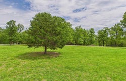 18 WINTER OAK DRIVE, Elizabeth, AR 72531