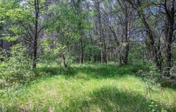 2.08 Ac Clearview Road, Nekoosa, WI 54456