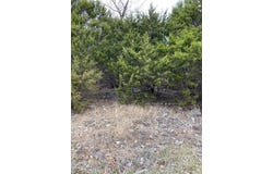 48 Deer Run  DR, Holiday Island, AR 72631