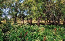 2293 Minnesota Road, Iola, KS 66749