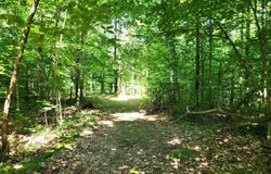3540 W Hickory Creek Court, Martinsville, IN 46151