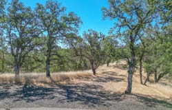 0 Wood Duck Pass RD, RED BLUFF, 96080