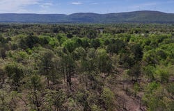 E1645 Cole Spur Road, Tuskahoma, OK 74574