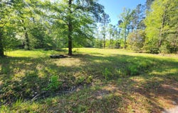 215 Frog Hollow Street, Varnville, SC 29944