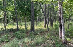 255 Masters Blvd, Brookeland, TX 75931