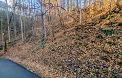 Ridgefield Drive lot: 339, Sevierville, TN 37876
