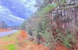 Busy Corner Road, Gloster, MS 39638