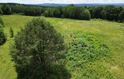 525 Overlook Road, Blountsville, AL 35031